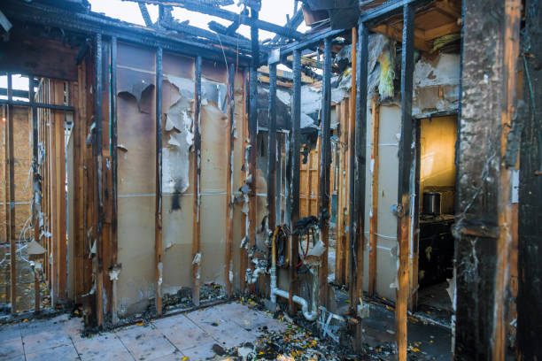 Professional Fire Damage Removal technician working in Dawsonville, GA